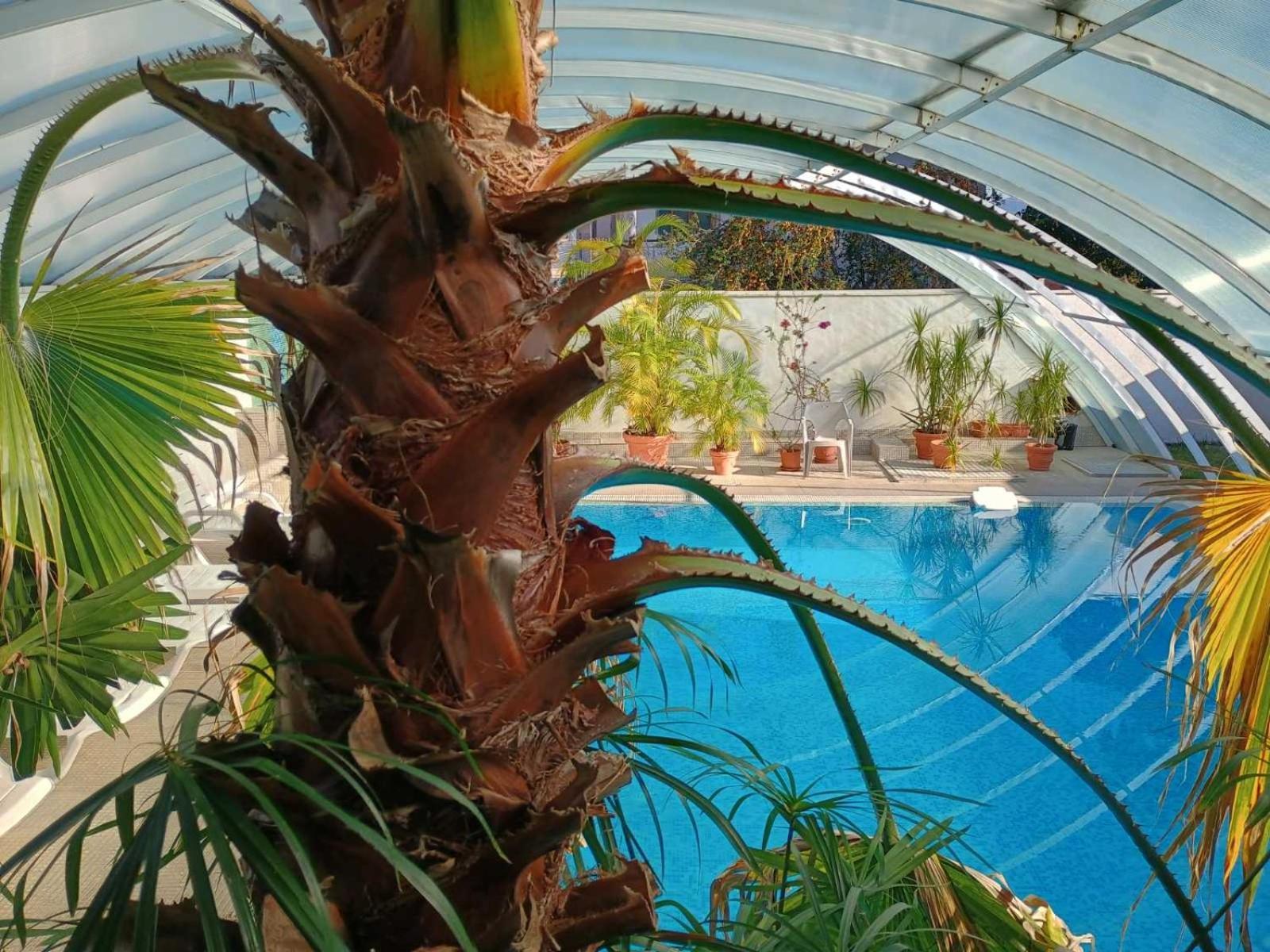 Enis Hotel С Минерален Басейн Saparewa Banja Zewnętrze zdjęcie